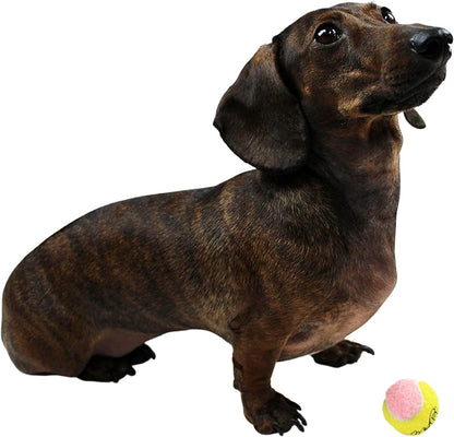 X-Small Dog Tennis Balls - 1.5 Inch, Pack of 12