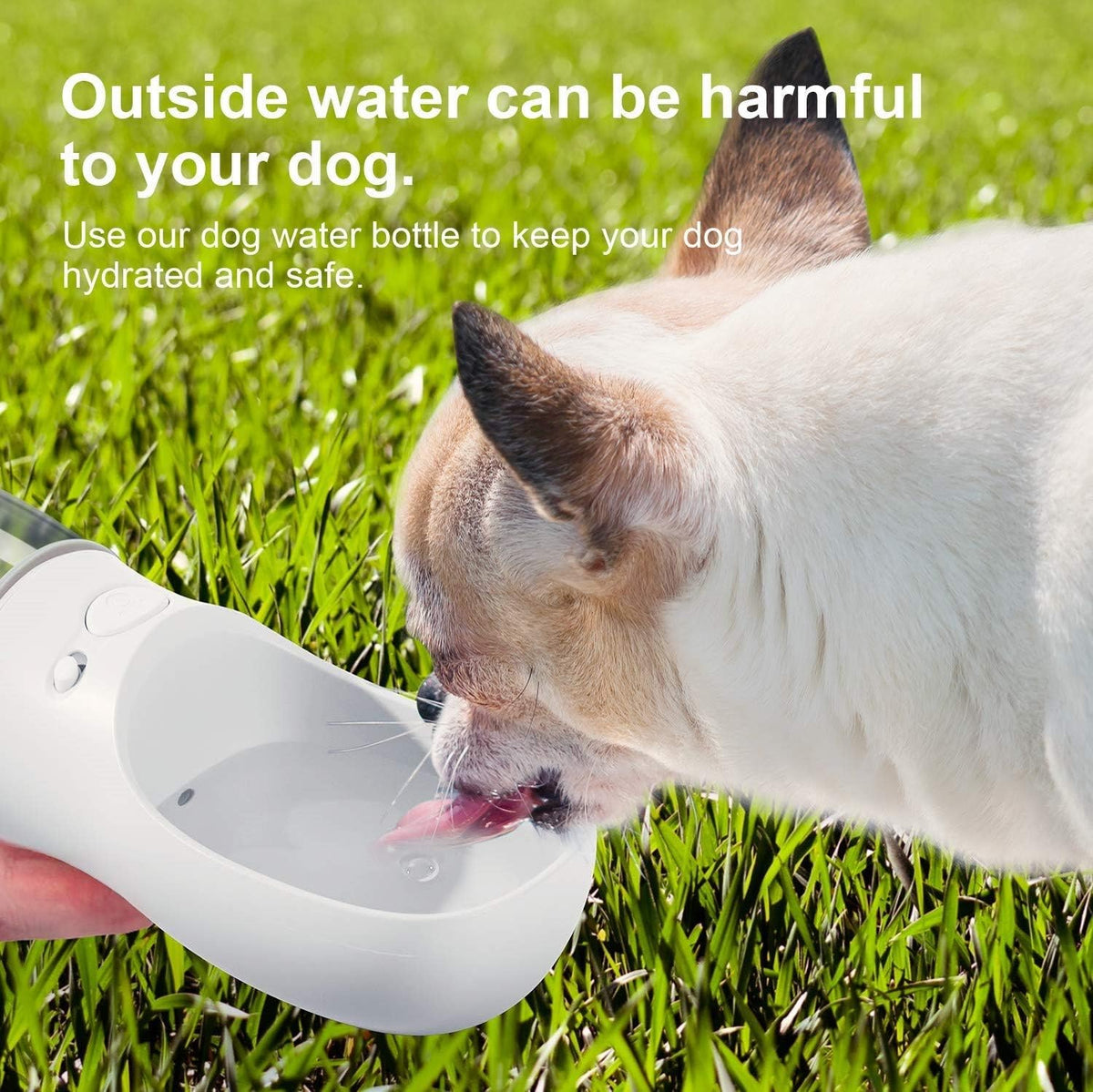 Portable Leak-Proof Dog Water Bottle with Drinking Feeder for Travel - 12 oz Milk White